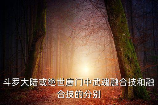 業(yè)技融合五個(gè)融合，斗羅大陸或絕世唐門中武魂融合技和融合技的分別
