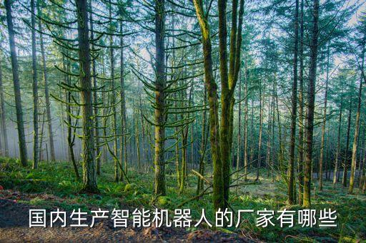 國內(nèi)生產(chǎn)智能機(jī)器人的廠家有哪些