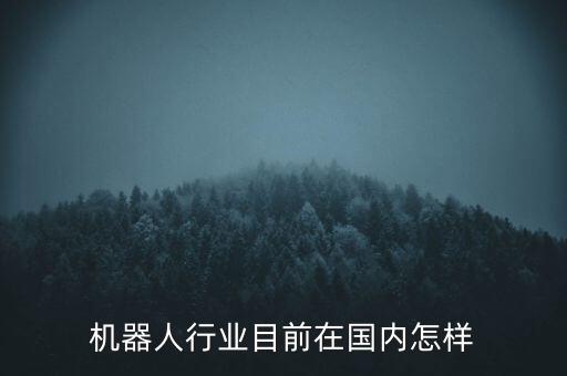 機(jī)器人行業(yè)目前在國內(nèi)怎樣
