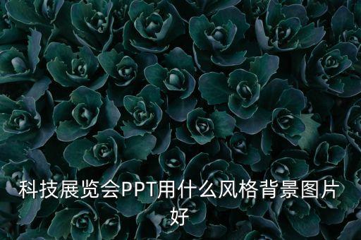 科技展覽會PPT用什么風(fēng)格背景圖片好