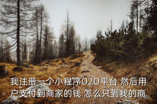 我注冊一個小程序O2O平臺 然后用戶支付到商家的錢 怎么只到我的商