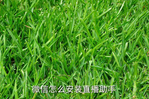 微信怎么安裝直播助手