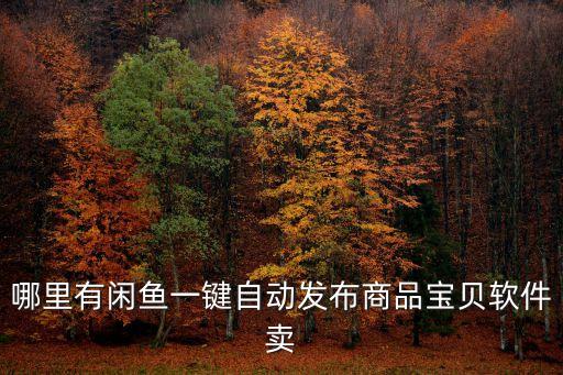 哪里有閑魚一鍵自動(dòng)發(fā)布商品寶貝軟件賣