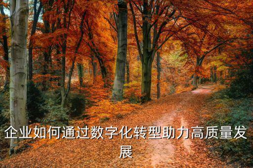 企業(yè)如何通過數(shù)字化轉(zhuǎn)型助力高質(zhì)量發(fā)展