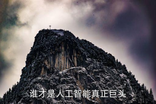 誰才是人工智能真正巨頭