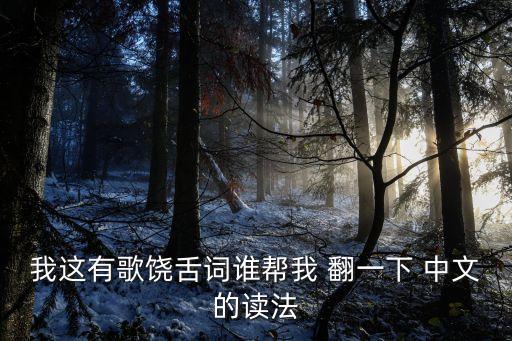 我這有歌饒舌詞誰(shuí)幫我 翻一下 中文的讀法