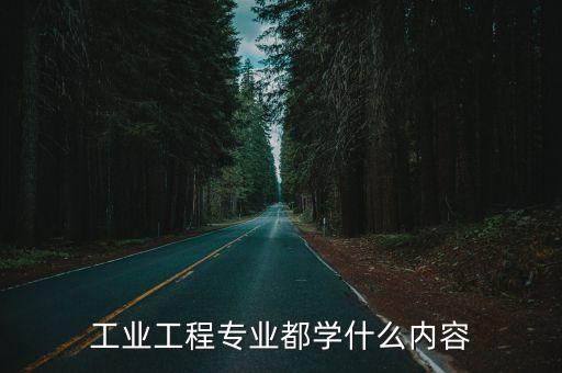 工業(yè)工程專業(yè)學(xué)什么專業(yè)課，工業(yè)工程專業(yè)需學(xué)課程