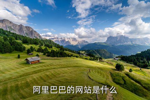 阿里網(wǎng)站，阿里巴巴的網(wǎng)站是什么