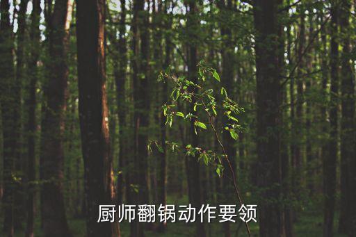 炒菜翻鍋的動作叫什么，大鍋菜翻菜用手握著的那個叫什么