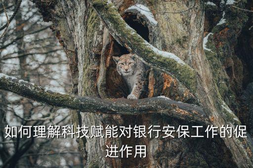 科技賦能的重要性有哪些，如何理解科技賦能對銀行安保工作的促進作用