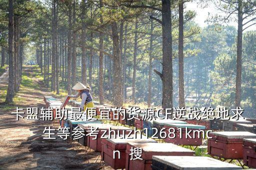卡盟游戲輔助批發(fā)價(jià)，卡盟輔助最便宜的貨源CF逆戰(zhàn)絕地求生等參考zhuzh12681kmcn  搜
