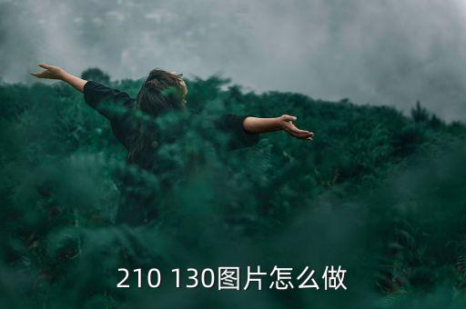 210 130圖片怎么做