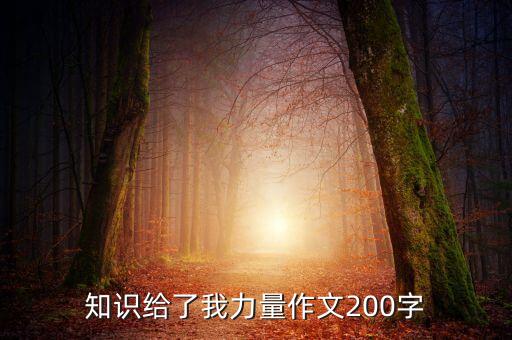 知識(shí)給了我力量作文200字