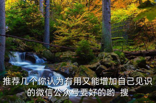 推薦幾個(gè)你認(rèn)為有用又能增加自己見(jiàn)識(shí)的微信公眾號(hào)要好的喲  搜