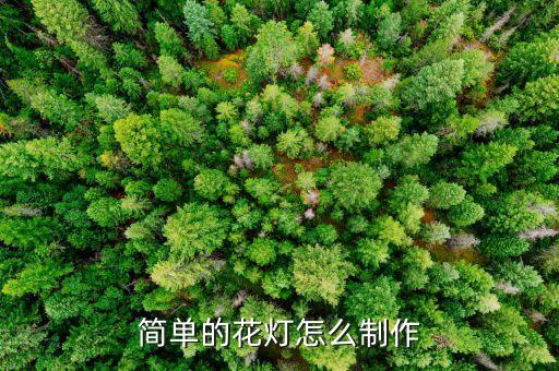 簡單的花燈怎么制作