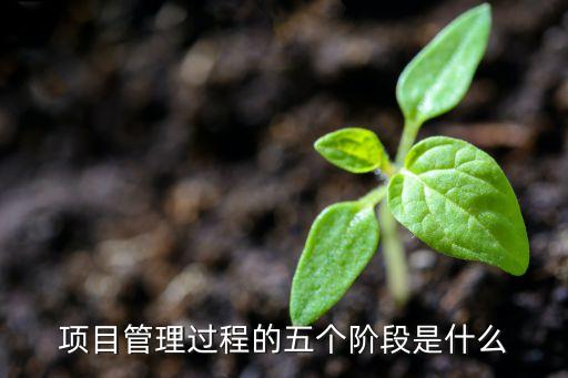 項目管理過程的五個階段是什么