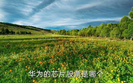 華為的芯片股票是哪個(gè)