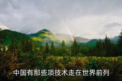 中國有那些項技術走在世界前列