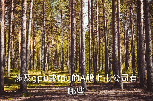 涉及gpu或tpu的A股上市公司有哪些