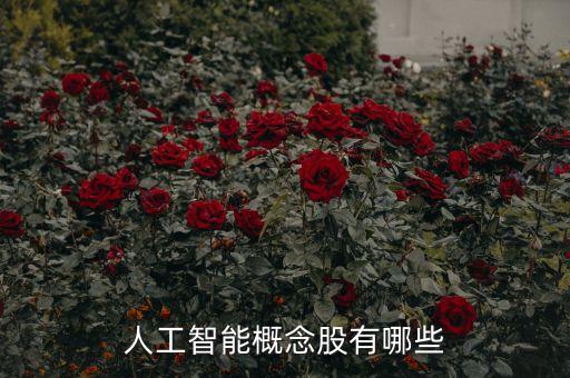 人工智能類的股票都有哪些龍頭，人工智能龍頭股有哪些
