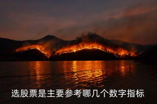 選股票是主要參考哪幾個數(shù)字指標(biāo)