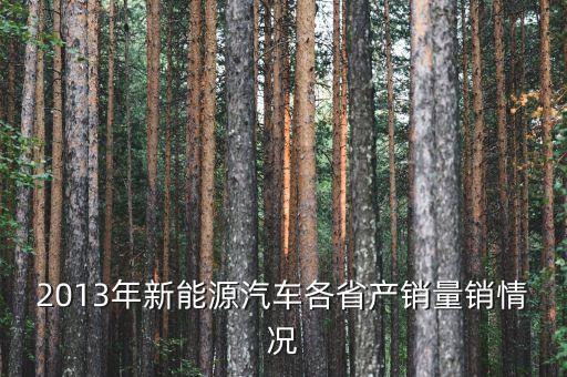 2013年新能源汽車各省產(chǎn)銷量銷情況