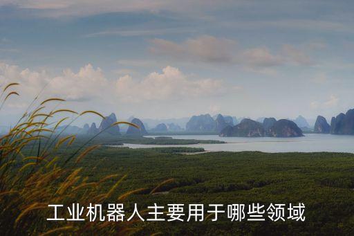 工業(yè)機(jī)器人主要用于哪些領(lǐng)域