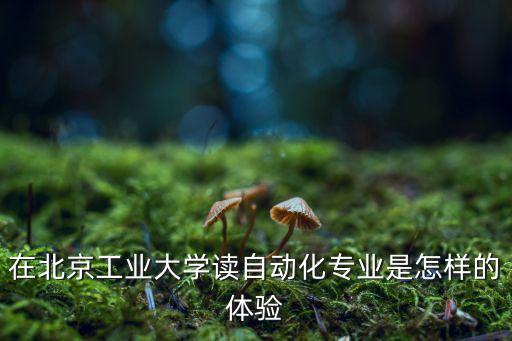 北京工業(yè)大學(xué)自動(dòng)化專業(yè)，在北京工業(yè)大學(xué)讀自動(dòng)化專業(yè)是怎樣的體驗(yàn)