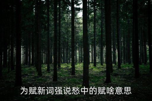 為賦新詞強(qiáng)說(shuō)愁中的賦啥意思