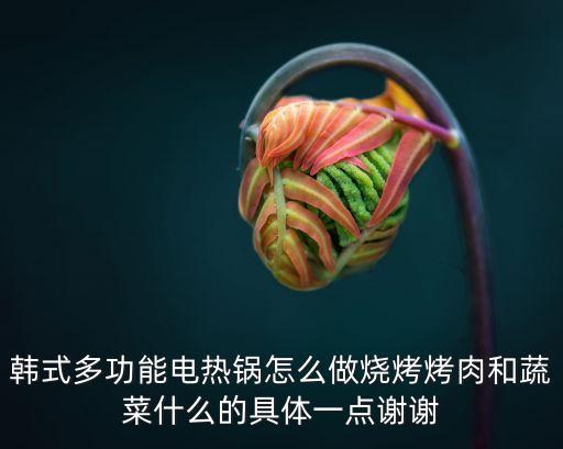 多功能電熱鍋食譜大全，韓式多功能電熱鍋能做什么菜