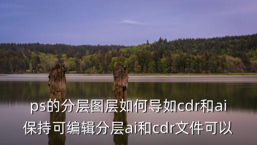 ps的分層圖層如何導(dǎo)如cdr和ai保持可編輯分層ai和cdr文件可以