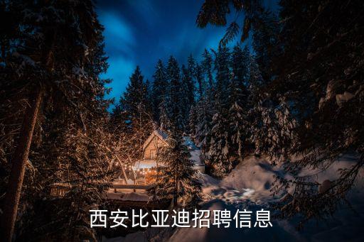 比亞迪公司官方網(wǎng)站招聘，深圳比亞迪