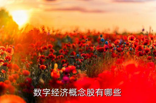 數(shù)字經(jīng)濟概念股有哪些