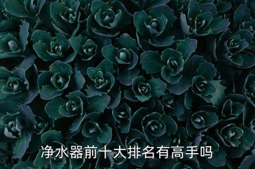 小區(qū)凈水機(jī)排名前10名品牌，凈水器十大名牌排名榜