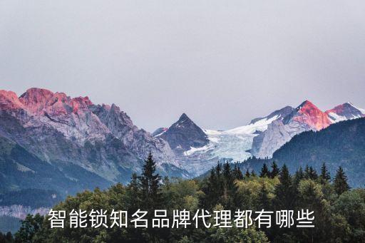 代理智能產(chǎn)品，想加盟代理做智能硬件行業(yè)的產(chǎn)品有什么項(xiàng)目推薦