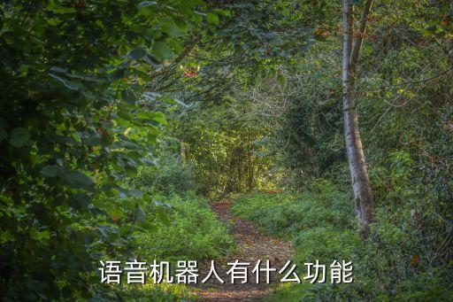 語(yǔ)音機(jī)器人有什么功能