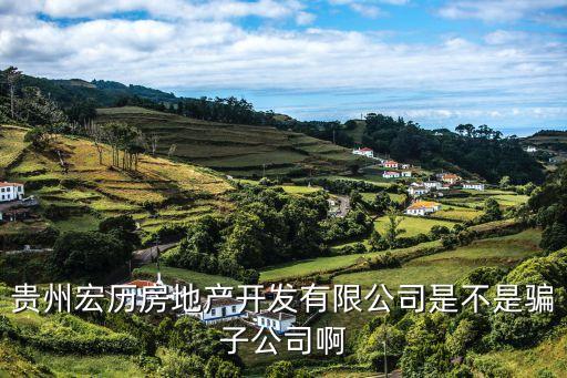 貴州宏歷房地產(chǎn)開發(fā)有限公司是不是騙子公司啊