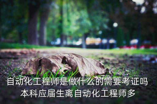 自動化工程師是做什么的需要考證嗎 本科應(yīng)屆生離自動化工程師多
