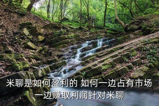 米聊是如何盈利的 如何一邊占有市場一邊賺取利潤針對米聊