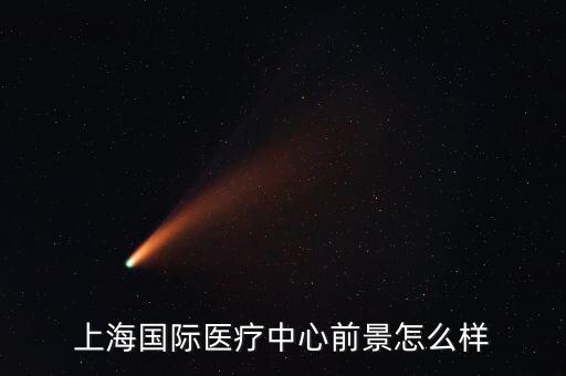 上海國際醫(yī)療中心前景怎么樣