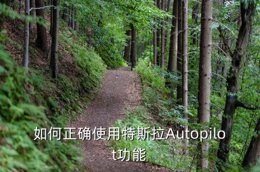 如何正確使用特斯拉Autopilot功能
