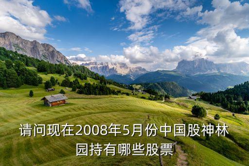 林園最新前十大重倉的股票，請問林園選的那20只股票都是哪些
