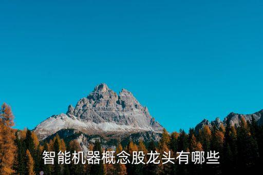 智能機(jī)器概念股龍頭有哪些