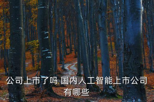 智能ai上市公司有哪些，人工智能龍頭股有哪些