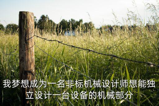 我夢(mèng)想成為一名非標(biāo)機(jī)械設(shè)計(jì)師想能獨(dú)立設(shè)計(jì)一臺(tái)設(shè)備的機(jī)械部分