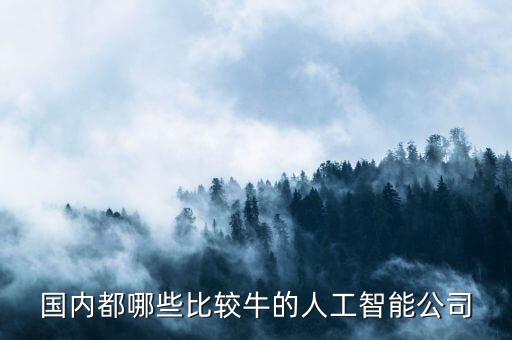 國內都哪些比較牛的人工智能公司
