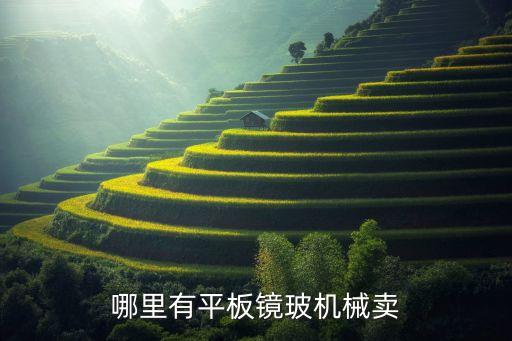 余姚市舜維自動化機械廠，哪里有平板鏡玻機械賣