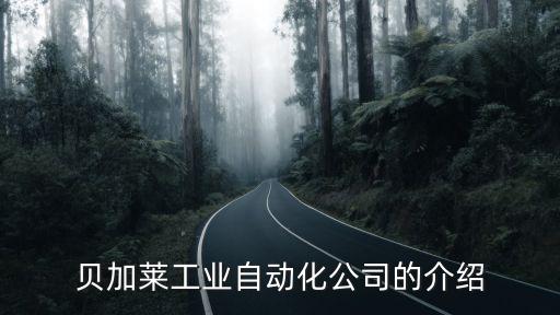 自動(dòng)化公司介紹怎么寫(xiě)，中國(guó)自動(dòng)化集團(tuán)公司情況