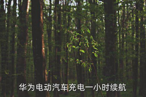 華為電動汽車充電一小時續(xù)航
