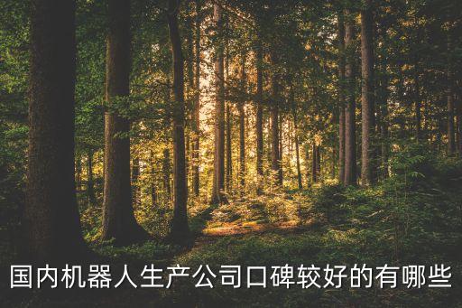 中國機(jī)器人公司，國內(nèi)機(jī)器人生產(chǎn)公司口碑較好的有哪些